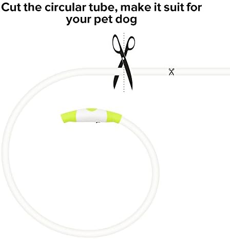 iTayga Led Нашийник за Кучета USB Акумулаторна батерия Светлинен Нашийник за Кучета Регулируеми Маншети за домашни любимци