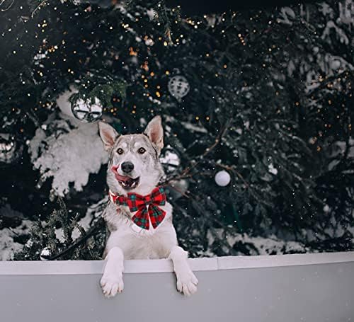 Коледен Нашийник за кучета DOGWONG с Матросским папийонка, Червен Кариран Нашийник за Кучета, Мек Здрава Регулируема